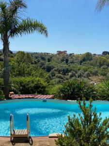 a swimming pool with a chair and a palm tree at B&B Villa San Marco in Agrigento