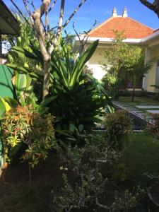 un jardín frente a una casa con plantas en Kubu Green en Nusa Dua