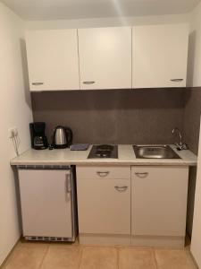 Küche/Küchenzeile in der Unterkunft Appartement Hammerschmidt