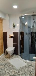a bathroom with a toilet and a glass shower at Willa na Wilcznik in Zakopane