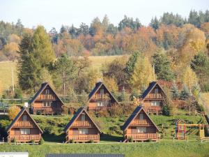 a group of houses in a field with trees at Edwardówka 601-130-636 - lipiec - sierpień - basen w cenie wynajmu domku in Polańczyk