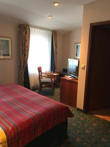 TV a/nebo společenská místnost v ubytování Hotel Johannishof