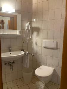 マイスホーフェンにあるAppartement Hammerschmidtのバスルーム(トイレ、洗面台付)