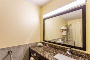 Ένα μπάνιο στο Econo Lodge Morgantown +14 φωτογραφίες