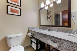 a bathroom with a toilet and a sink with a mirror at Comfort Inn & Suites Page at Lake Powell in Page