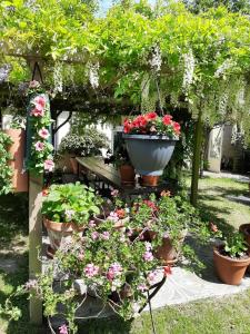 Galeriebild der Unterkunft BedandBreakfast Casa Martina in Kortgene