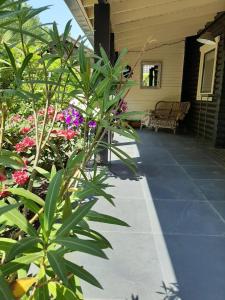 Galeriebild der Unterkunft BedandBreakfast Casa Martina in Kortgene