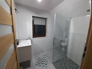 a bathroom with a shower and a sink and a toilet at Brzozowy Zagajnik in Bereżnica Wyżna