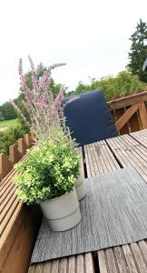 dois vasos de plantas sentados em cima de uma mesa de madeira em Große Koje mit Terrasse em Rostock