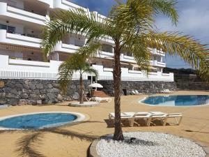 palma przed budynkiem z dwoma basenami w obiekcie Tenerife PLAYA LA ARENA w mieście Puerto de Santiago
