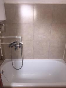 a bath tub with a shower in a bathroom at Golija Vikendica Česta Vrela in Raška +37 photos