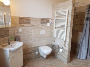 een badkamer met een toilet, een wastafel en een douche bij Apartment No. 16B Svahová 14 in Karlsbad