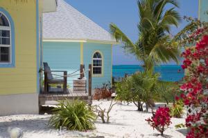 ein Haus am Strand mit einer Palme in der Unterkunft Paradise Bay Bahamas in Farmerʼs Hill