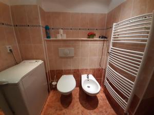 a small bathroom with a toilet and a sink at Apartment No. 2 Tržiště 29 in Karlovy Vary
