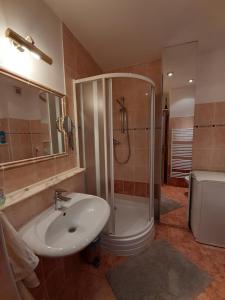 a bathroom with a shower and a sink and a toilet at Apartment No. 2 Tržiště 29 in Karlovy Vary