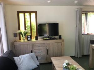 TV a/nebo společenská místnost v ubytování Cedar Cottage Veluwe
