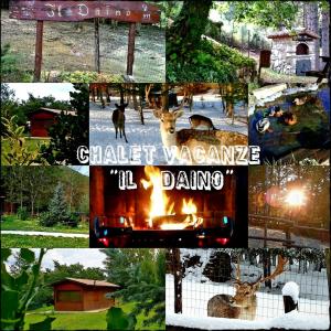 a collage of pictures with animals and a train at Chalet Vacanze Il Daino in Leonessa