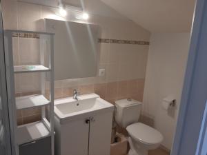 La petite salle de bains est pourvue d'un lavabo et de toilettes. dans l'établissement Le Domaine Leylandy, à Saint-Sulpice-de-Royan