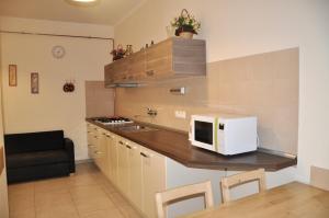 Kuchyňa alebo kuchynka v ubytovaní Apartment No. 40 Stará louka 20 + 11 fotografií