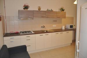 Kuchyňa alebo kuchynka v ubytovaní Apartment No. 40 Stará louka 20