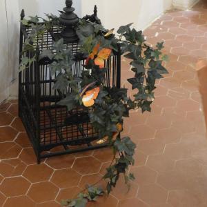 鲁西永Maison d'hôtes Une hirondelle en Provence的相册照片