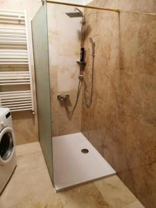 una doccia con porta in vetro in bagno di Star Apart a Râmnicu Vâlcea