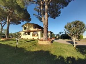 een huis met een boom in de voortuin bij Agriturismo - B&B L'Acquacotta in Castiglione della Pescaia