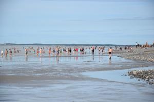 a group of people walking on the beach at Ces jours en baie Le vue mer in Cayeux-sur-Mer