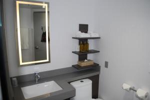 
a bathroom with a toilet and a sink at Novotel Ottawa City Centre Hotel in Ottawa

