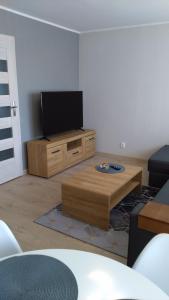Televízia a/alebo spoločenská miestnosť v ubytovaní Apartament Słoneczny