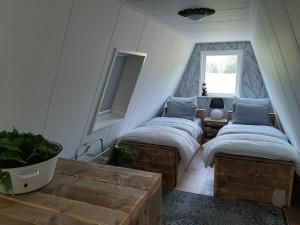 two twin beds in a room with a window at Mahil-Laya in Meppel