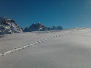 Fotografia z galérie ubytovania Residenza Caola Sant'Antonio Mavignola v destinácii Madonna di Campiglio + 22 fotografií