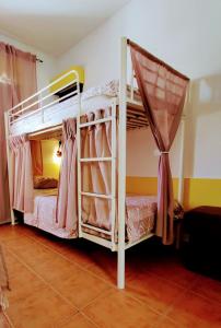 ラゴスにあるSol a Sol Hostelのベッドルーム1室(二段ベッド2組付)