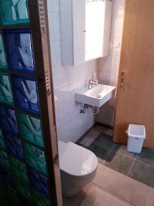 La salle de bains est pourvue de toilettes et d'un lavabo. dans l'établissement B&B Family Skvor, à Portorož