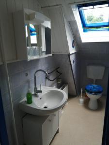 a bathroom with a sink and a toilet and a window at Richters Deich-Oase in Brokdorf