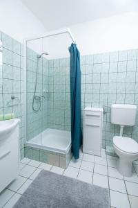 a bathroom with a shower and a toilet and a sink at Lux Apartmanok in Hajdúszoboszló