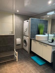 a bathroom with a sink and a washing machine at Country house Au Ballet des Hirondelles in Herve +41 photos