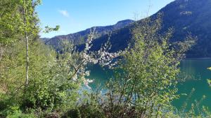 Peisaj natural din apropierea acestei case de vacanță