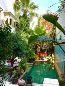 a swimming pool in a garden with trees and plants at Dar Souad in La Marsa