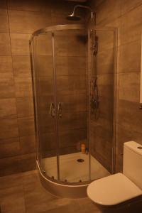 Łazienka w obiekcie Apartament Nadwarciański