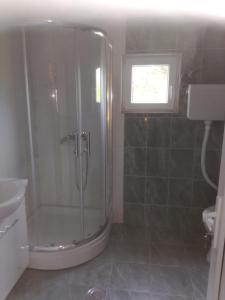 a bathroom with a shower and a sink at Apartment Dedine Golubac in Golubac