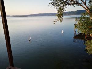 Paesaggio naturale nelle vicinanze dell'affittacamere