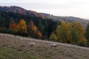Fotografia z galérie ubytovania Chalupa Na Košáře v destinácii Valašská Senice