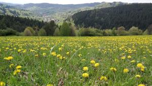Fotografia z galérie ubytovania Chalupa Na Košáře v destinácii Valašská Senice