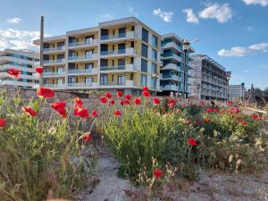 a field of red flowers in front of a building at Holiday Apartment Mamaia Nord in Mamaia Nord