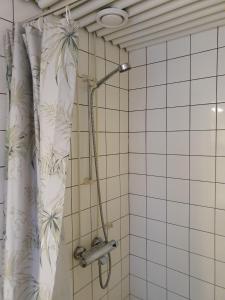 y baño con ducha y cortina de ducha. en Majoitus Hermanni en Teuva