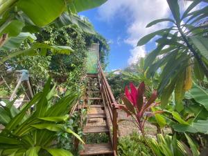 a wooden staircase in a garden with plants at Gites titanse, la cabane dans l arbre in Cadet