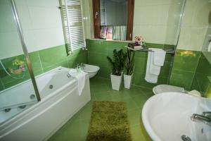 Vannituba majutusasutuses B&B Euclide