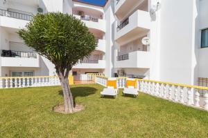a palm tree in front of a building at Sunny Home Oura By ALzira in Albufeira