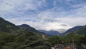 Gallery image of Hotel Adria in Bolzano